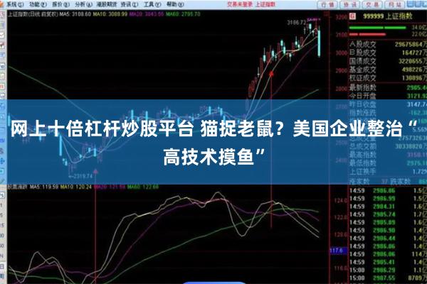 网上十倍杠杆炒股平台 猫捉老鼠？美国企业整治“高技术摸鱼”