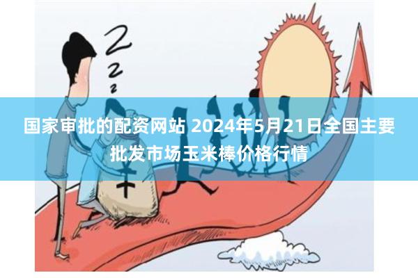 国家审批的配资网站 2024年5月21日全国主要批发市场玉米棒价格行情