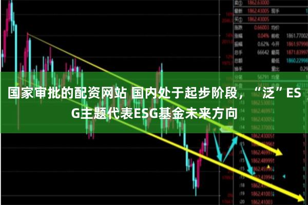 国家审批的配资网站 国内处于起步阶段，“泛”ESG主题代表ESG基金未来方向