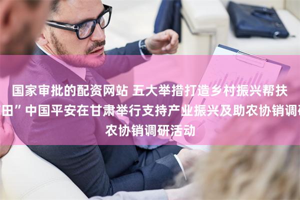 国家审批的配资网站 五大举措打造乡村振兴帮扶“示范田”中国平安在甘肃举行支持产业振兴及助农协销调研活动