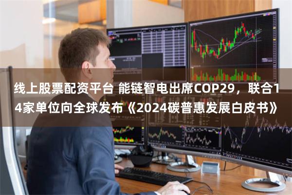 线上股票配资平台 能链智电出席COP29，联合14家单位向全球发布《2024碳普惠发展白皮书》