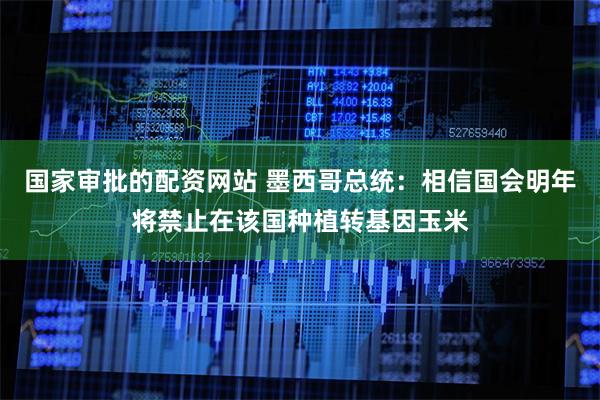 国家审批的配资网站 墨西哥总统：相信国会明年将禁止在该国种植转基因玉米