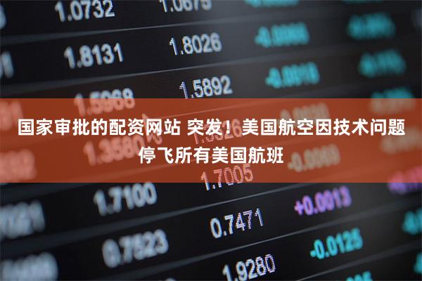 国家审批的配资网站 突发！美国航空因技术问题停飞所有美国航班