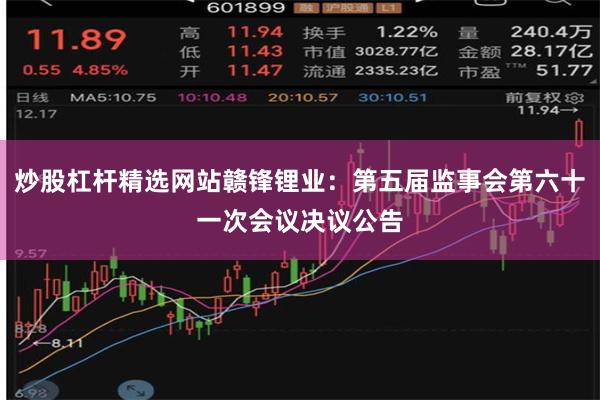 炒股杠杆精选网站赣锋锂业：第五届监事会第六十一次会议决议公告