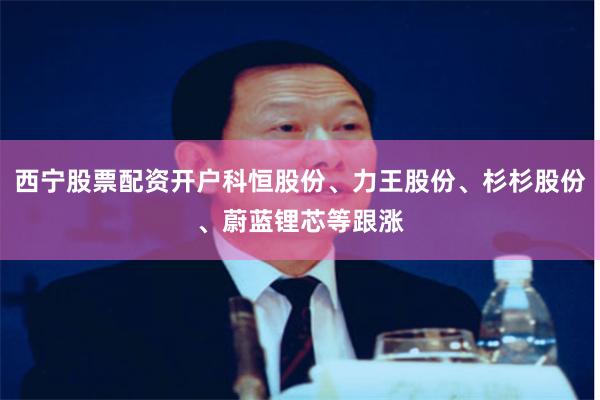西宁股票配资开户科恒股份、力王股份、杉杉股份、蔚蓝锂芯等跟涨