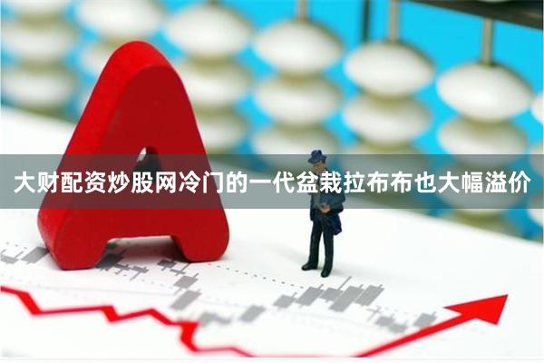 大财配资炒股网冷门的一代盆栽拉布布也大幅溢价