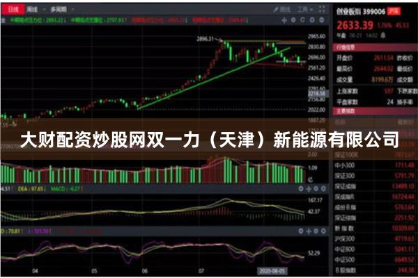 大财配资炒股网双一力（天津）新能源有限公司